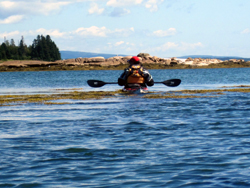 Deer Islands - Maine