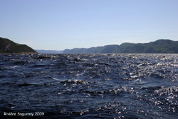 Fjord du Saguenay