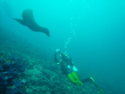 Islas Galapagos / Ecuador