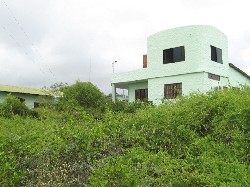 Islas Galapagos / Ecuador