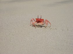 Islas Galapagos / Ecuador