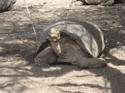 Islas Galapagos / Ecuador