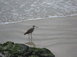 Islas Galapagos / Ecuador