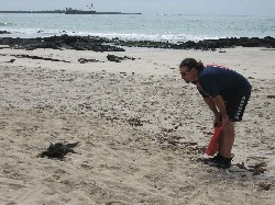 Islas Galapagos / Ecuador