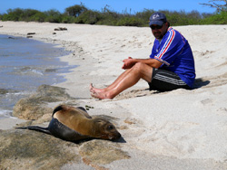 Islas Galapagos / Ecuador