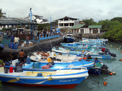 Islas Galapagos / Ecuador