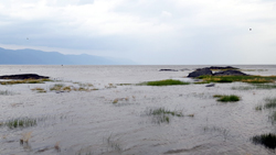 Archipel des Isles-aux-Grues