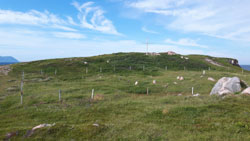 Hautes-Terres-du-Cap-Breton