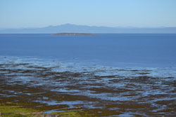 Kamouraska