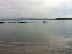 Kamouraska