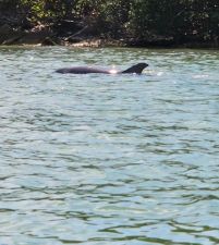 Tampa Bay and around / Floride