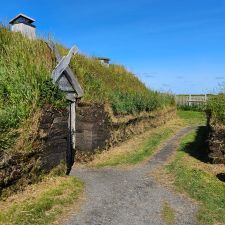 Terre-Neuve